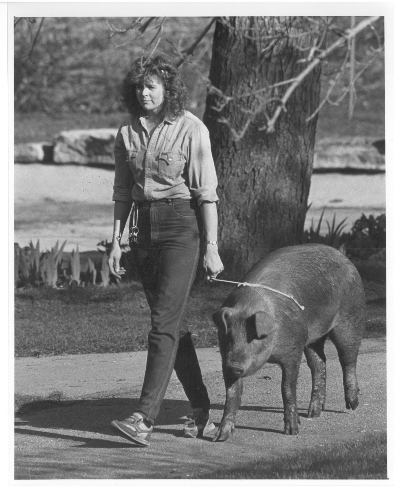 Lincoln Children's Zoo 50th Anniversary